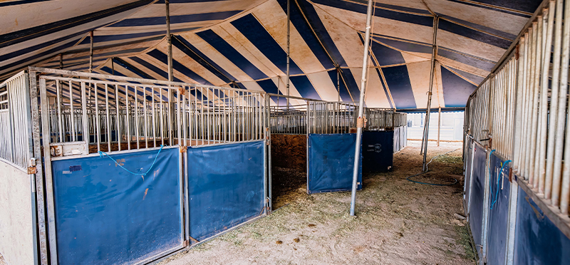 NFR Room and Stall Package